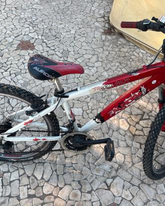 Mountain Bike da ragazzo