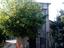 Immagine 22