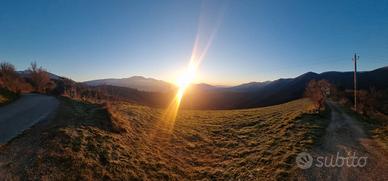 Terreni agricoli collinari nelle alte Marche
