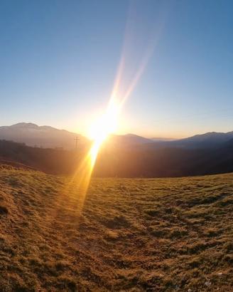 Terreni agricoli collinari nelle alte Marche
