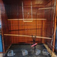 Gabbia per pappagalli