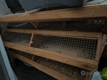 Trasportino roditori