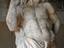 Immagine 11