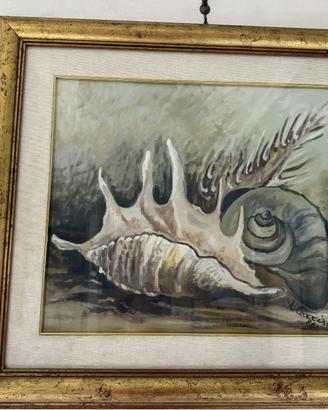 Quadro olio su tela "Conchiglie", firmato Carrisi,