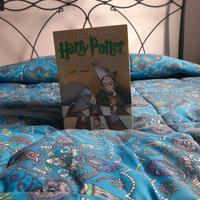 Harry Potter collezione prima edizione