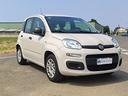 fiat-panda-1-2-easy-neopatentati-