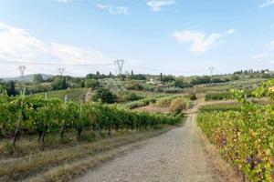 Rustico / Casale di 600 m² con più di 5 locali a P