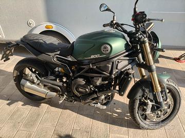 Benelli leoncino800