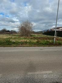Vendita terreno palestrina 1650mq
