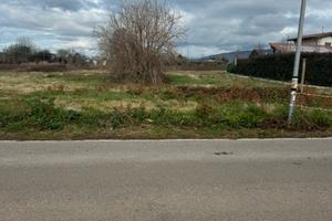 Vendita terreno palestrina 1650mq