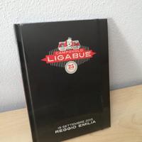 Ligabue - libro ufficiale "campovolo 2015"