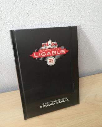 Ligabue - libro ufficiale "campovolo 2015"