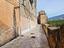 Immagine 11