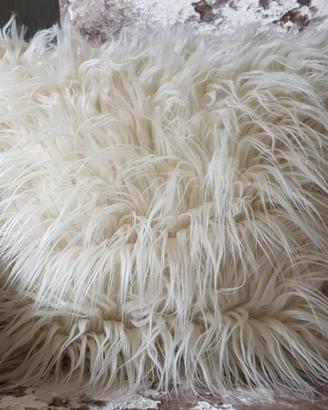 Cuscino