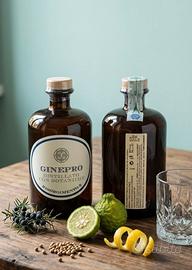 Gin artigianale “compound”