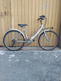 Bici grigia con cambio