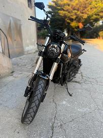 Benelli Leoncino Trail 500