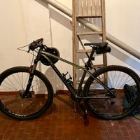 Specialized Rockhopper 29