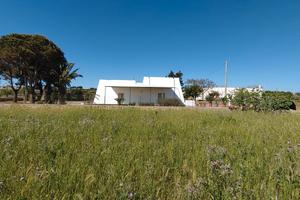 Liama1 bilocale a marina di Torre Pali nel Salento