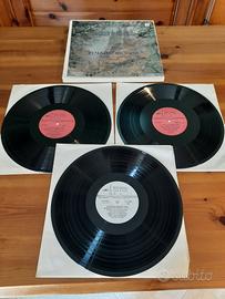 Vinile Il Lago dei Cigni - Tchaikovsky