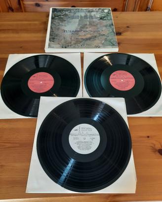 Vinile Il Lago dei Cigni - Tchaikovsky
