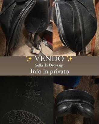Sella Inglese Dressage