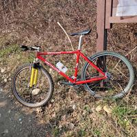 Mtb Specialized Sworks vintage