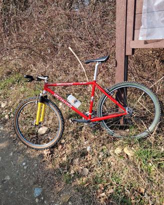 Mtb Specialized Sworks vintage