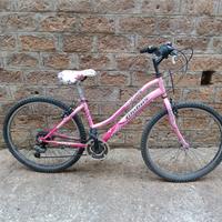 Bicicletta da ragazza 