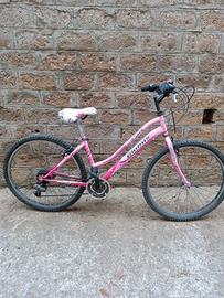 Bicicletta da ragazza 