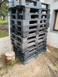 pallet