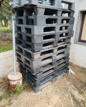 pallet