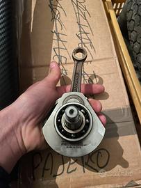 Albero mazzuchelli anticipato