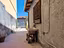 Immagine 12