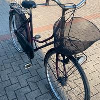 Bicicletta da donna