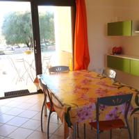 Vacanze a Girasole (NU)