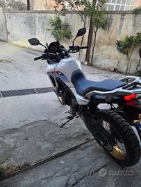 honda transalp