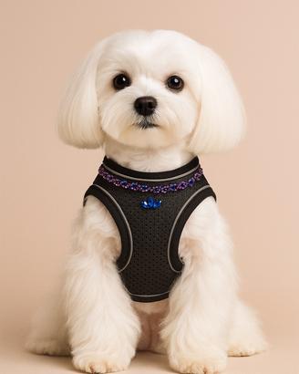 Pettorina nera con dettagli multicolor