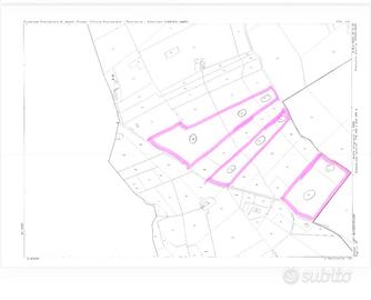 Terreno Comune Rubbianello (FM)