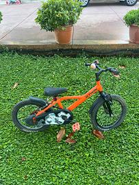 Bicicletta 16
