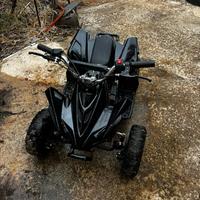 Quad 49cc 2t