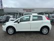 FIAT Punto 1.4 8V 5 porte Natural Power Lounge