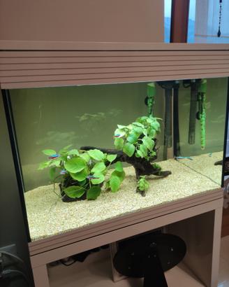 acquario askoll in vetro da 68 litri