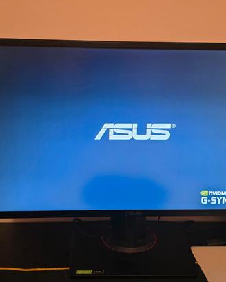 Monitor Gaming - 24,5" 0,5 ms, 165 Hz