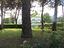 Immagine 10