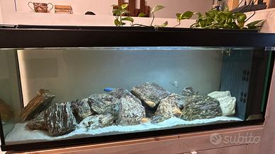Acquario 360 litri