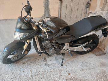 Honda hornet
