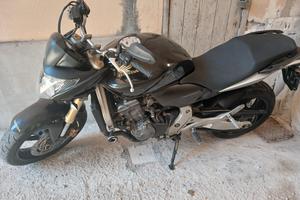 Honda hornet