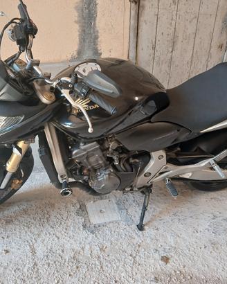 Honda hornet