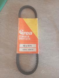 Cinghia dentata